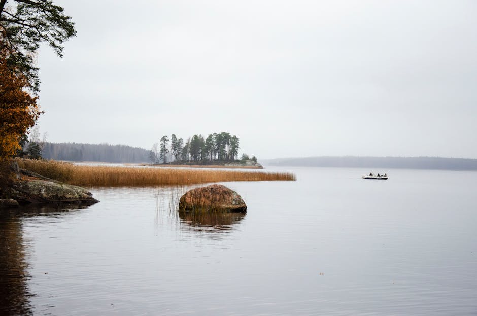 Reading Water: Finding Carp in Lakes and Reservoirs
