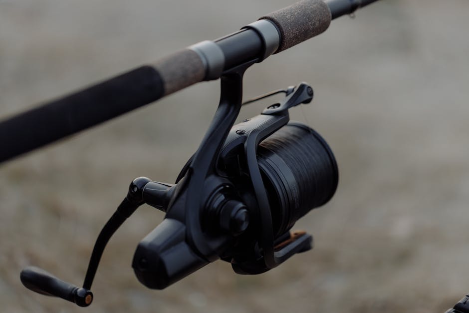 Choosing the Right Reel for Carp Fishing